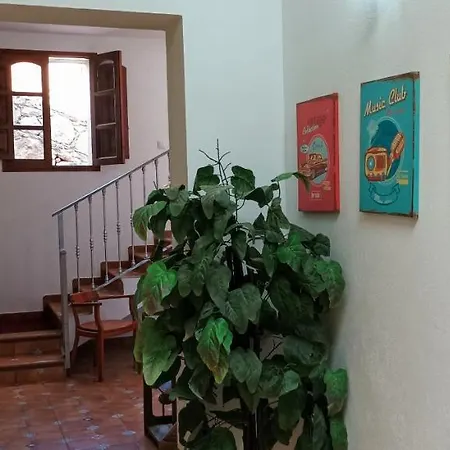 דירה Charming 2-bedroom With Garden In *